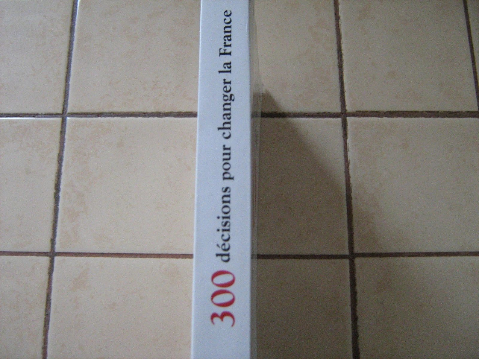300 beslissingen om Frankrijk te veranderen – photo 2
